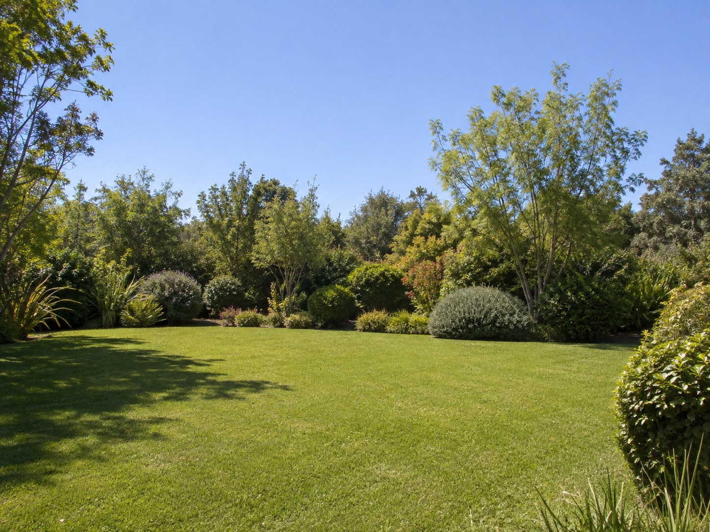 Jardín con césped y vegetación mediterránea; imagen editada